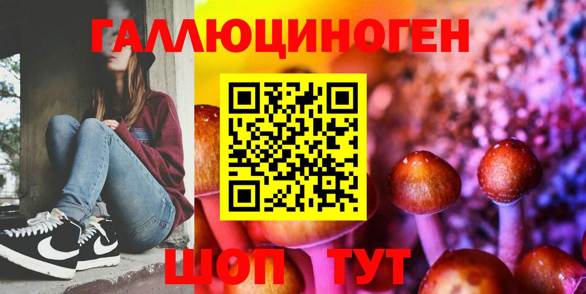купить наркотики цена  Псилоцибиновые грибы MAGIC MUSHROOMS  Вход с VPN  Псилоцибиновые грибы Magic Shrooms  Луга 